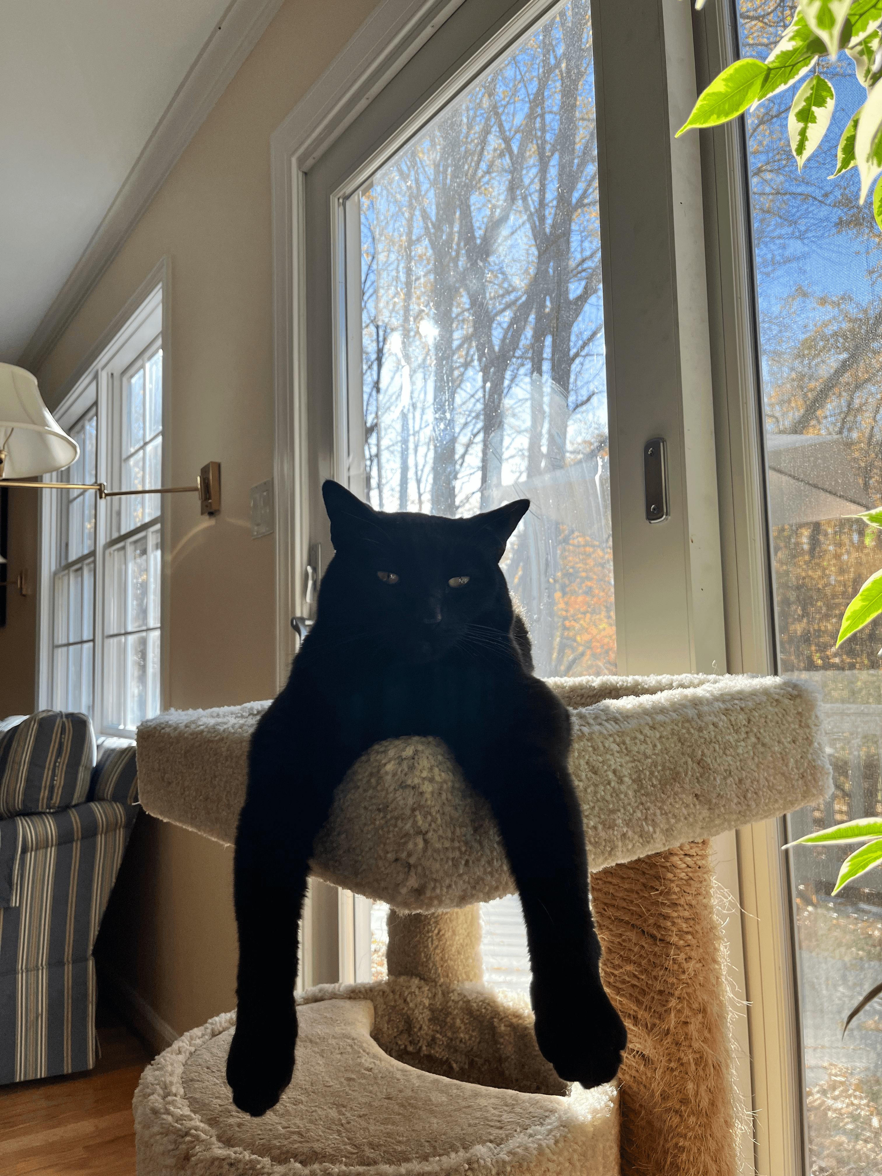 Fatboy Software Development